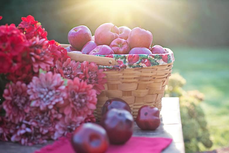 Basket of red apples on a outdoor table in sunlight with flowers.