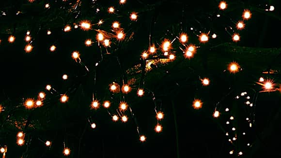 Branches with twinkling fairy lights.