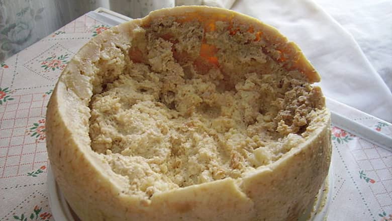 A plate with Casu Marzu.