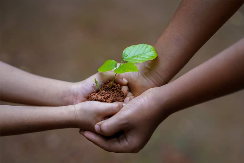 Adult and child hands carefully cup a seedling between them.