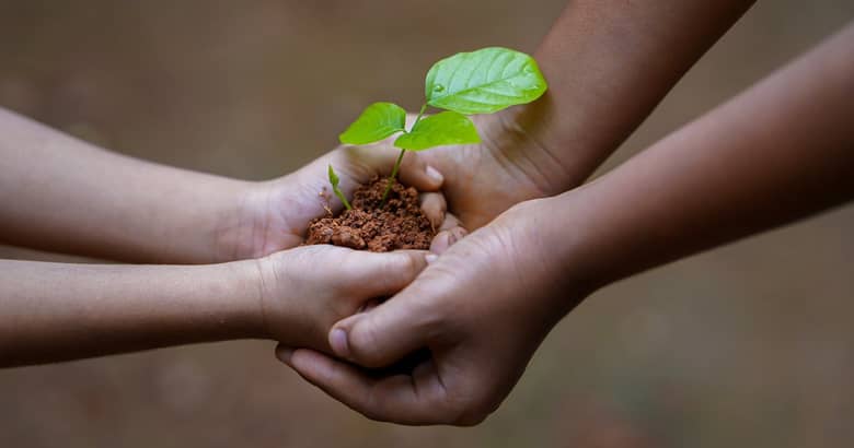 Adult and child hands carefully cup a seedling between them.