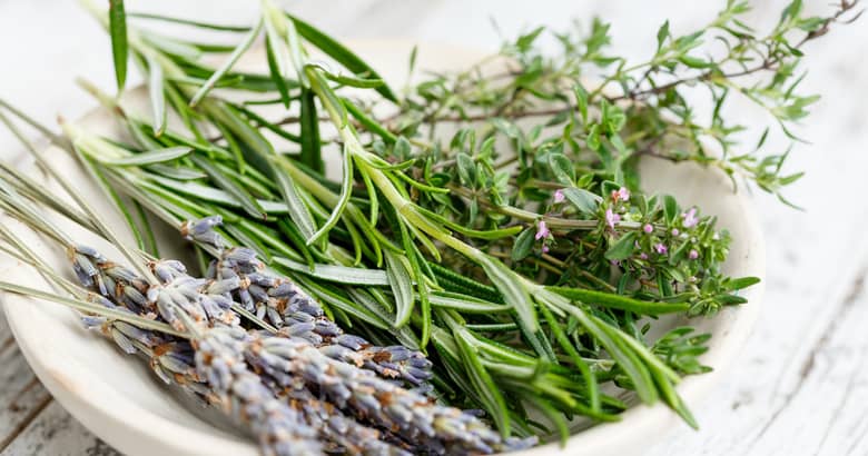 A white bowl with a selection of fresh herbs.