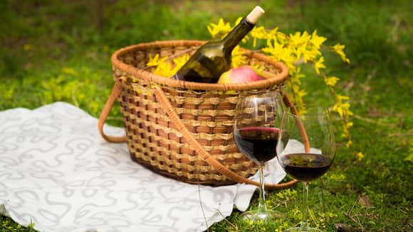 Picnic basket with blanket and 2 wine glasses.