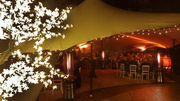 Stretch tent venue with illuminated trees.