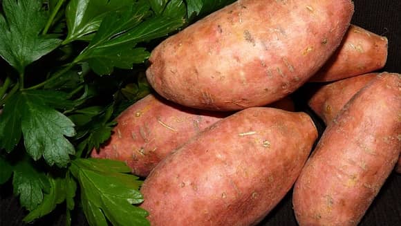 Sweet Potatoes.
