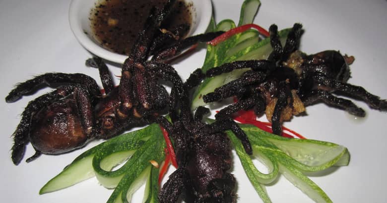 A plate of three crispy Tarantulas with garnish and dip.