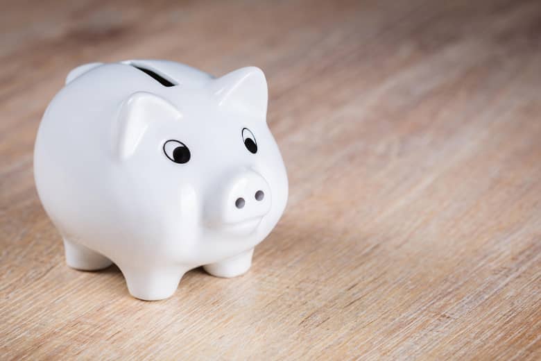 Piggy Bank for contingency fund.