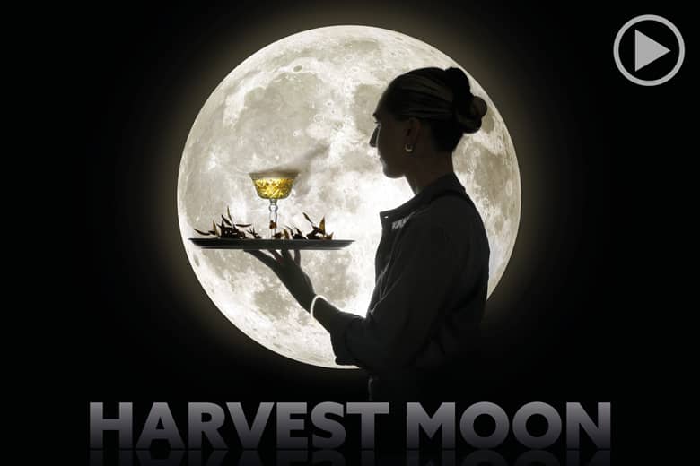 Harvest Moon Concept Video